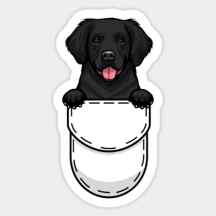 Funny Golden Retriever Pocket Dog Sticker